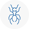 Ant Removals In Bexhill On Sea