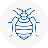 Bed Bug Extermination In Bexhill On Sea