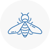 Bee Nest Removal Bexhill On Sea