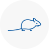 Mice Exterminators In Bexhill On Sea