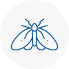 Moth Control Specialists In Bexhill On Sea